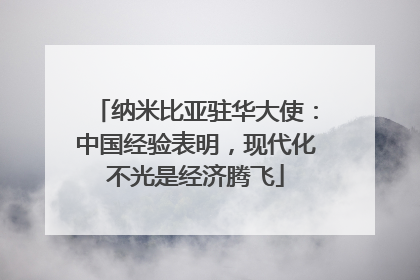 纳米比亚驻华大使：中国经验表明，现代化不光是经济腾飞