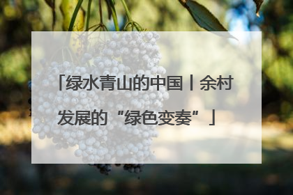 绿水青山的中国丨余村发展的“绿色变奏”