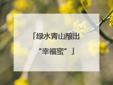 绿水青山酿出“幸福蜜”