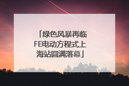 绿色风暴再临 FE电动方程式上海站圆满落幕