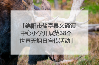 绵阳市盐亭县文通镇中心小学开展第38个世界无烟日宣传活动