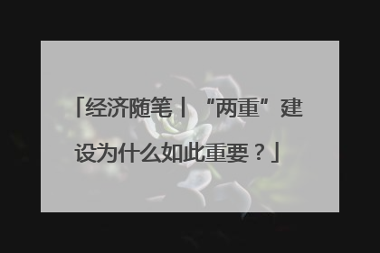 经济随笔丨“两重”建设为什么如此重要？