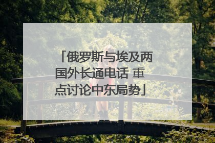 俄罗斯与埃及两国外长通电话 重点讨论中东局势