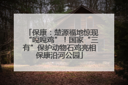 保康：楚源福地惊现“嘎嘎鸡”！国家“三有”保护动物石鸡亮相保康沿河公园