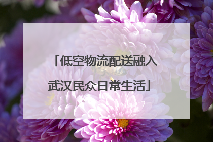 低空物流配送融入武汉民众日常生活