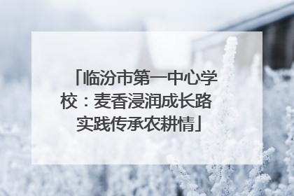 临汾市第一中心学校：麦香浸润成长路 实践传承农耕情
