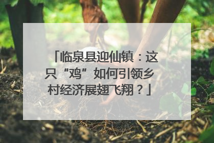 临泉县迎仙镇：这只“鸡”如何引领乡村经济展翅飞翔？