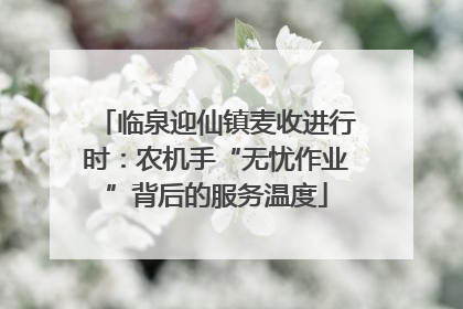 临泉迎仙镇麦收进行时：农机手“无忧作业”背后的服务温度