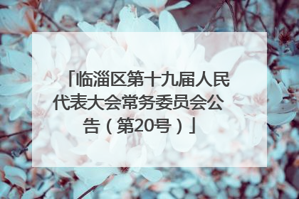 临淄区第十九届人民代表大会常务委员会公告（第20号）