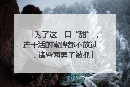为了这一口“甜”，连干活的蜜蜂都不放过，诸暨两男子被抓