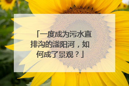 一度成为污水直排沟的滏阳河，如何成了景观？