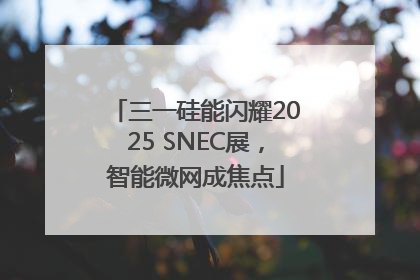 三一硅能闪耀2025 SNEC展，智能微网成焦点