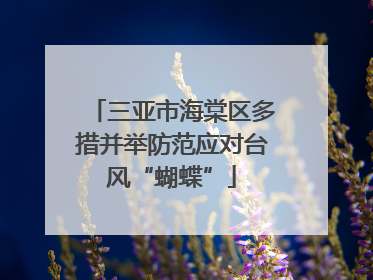 三亚市海棠区多措并举防范应对台风“蝴蝶”