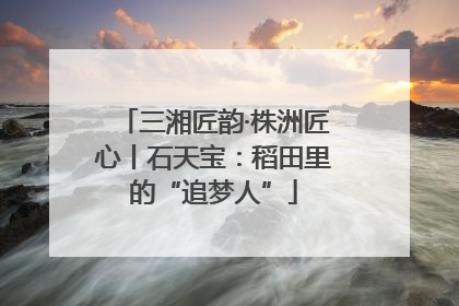 三湘匠韵·株洲匠心丨石天宝：稻田里的“追梦人”