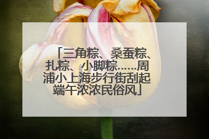 三角粽、桑蚕粽、扎粽、小脚粽……周浦小上海步行街刮起端午浓浓民俗风