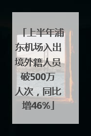 上半年浦东机场入出境外籍人员破500万人次，同比增46%