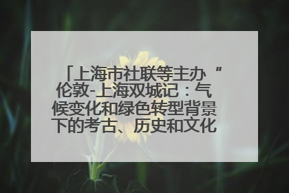 上海市社联等主办“伦敦-上海双城记：气候变化和绿色转型背景下的考古、历史和文化遗产”学术对话
