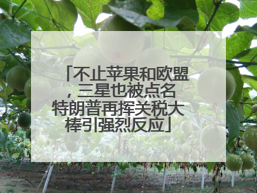 不止苹果和欧盟，三星也被点名 特朗普再挥关税大棒引强烈反应