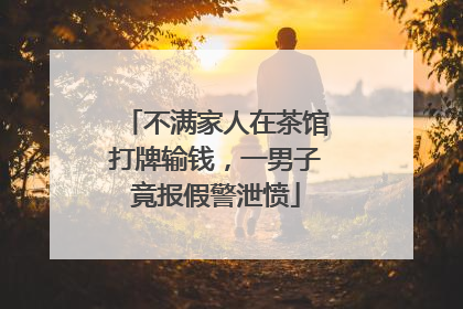 不满家人在茶馆打牌输钱，一男子竟报假警泄愤