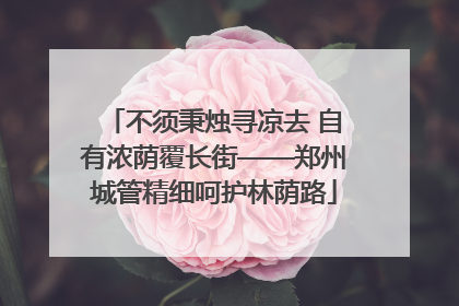 不须秉烛寻凉去 自有浓荫覆长街——郑州城管精细呵护林荫路