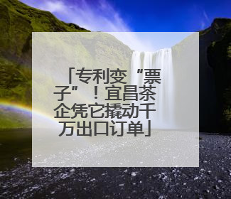 专利变“票子”！宜昌茶企凭它撬动千万出口订单