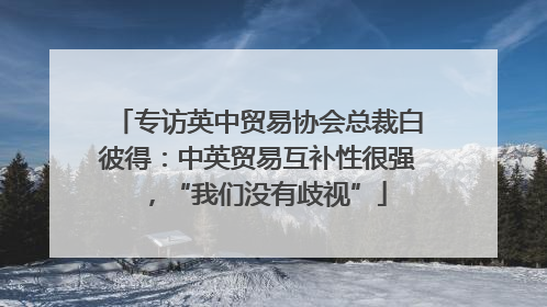 专访英中贸易协会总裁白彼得：中英贸易互补性很强，“我们没有歧视”