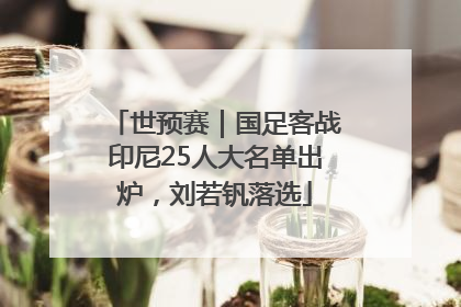 世预赛｜国足客战印尼25人大名单出炉，刘若钒落选