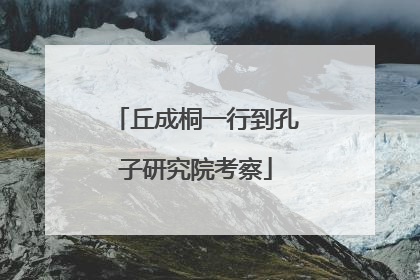 丘成桐一行到孔子研究院考察