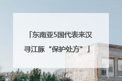 东南亚5国代表来汉寻江豚“保护处方”