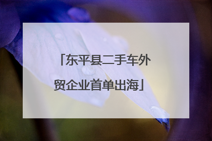 东平县二手车外贸企业首单出海