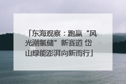 东海观察：跑赢“风光潮氢储”新赛道 岱山绿能澎湃向新而行