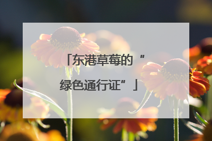 东港草莓的“绿色通行证”