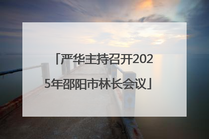 严华主持召开2025年邵阳市林长会议