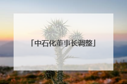 中石化董事长调整