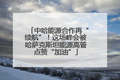 中哈能源合作再“续航”！这场峰会被哈萨克斯坦能源高管点赞“加油”
