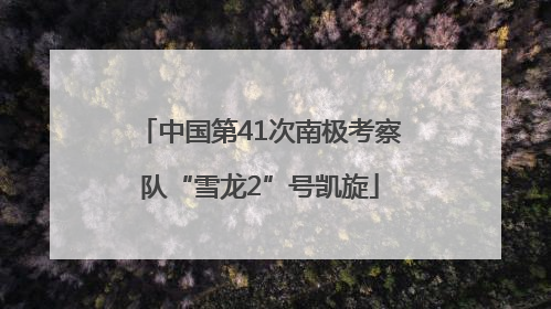 中国第41次南极考察队“雪龙2”号凯旋