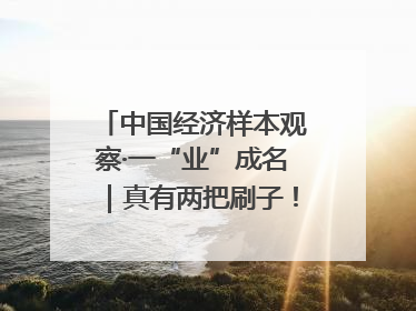 中国经济样本观察·一“业”成名｜真有两把刷子！“刷”出30亿级“颜值经济”