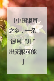 中国银耳之乡：一朵银耳“开”出无限可能