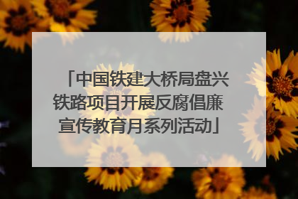 中国铁建大桥局盘兴铁路项目开展反腐倡廉宣传教育月系列活动