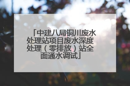 中建八局铜川废水处理站项目废水深度处理（零排放）站全面通水调试
