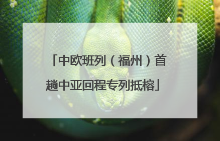 中欧班列（福州）首趟中亚回程专列抵榕