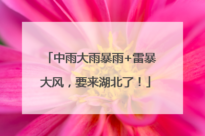 中雨大雨暴雨+雷暴大风，要来湖北了！