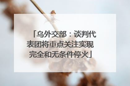 乌外交部：谈判代表团将重点关注实现完全和无条件停火
