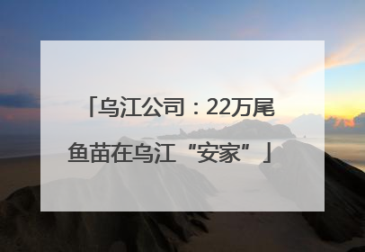 乌江公司：22万尾鱼苗在乌江“安家”