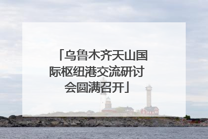乌鲁木齐天山国际枢纽港交流研讨会圆满召开