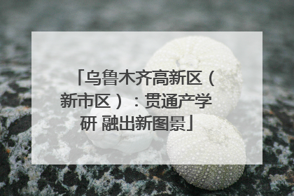 乌鲁木齐高新区（新市区）：贯通产学研 融出新图景
