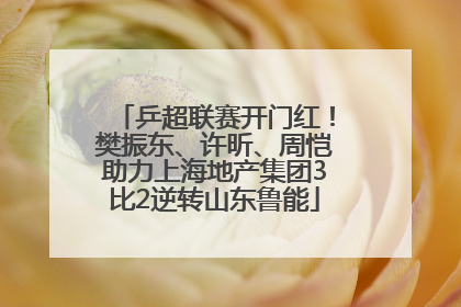 乒超联赛开门红！樊振东、许昕、周恺助力上海地产集团3比2逆转山东鲁能