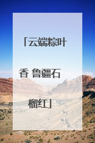 云端粽叶香 鲁疆石榴红
