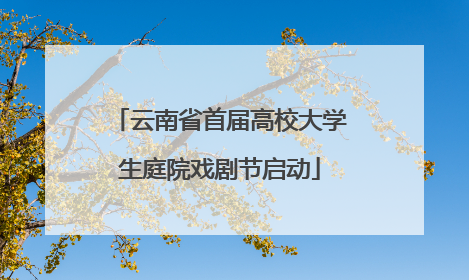 云南省首届高校大学生庭院戏剧节启动