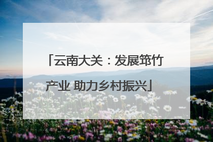 云南大关：发展筇竹产业 助力乡村振兴